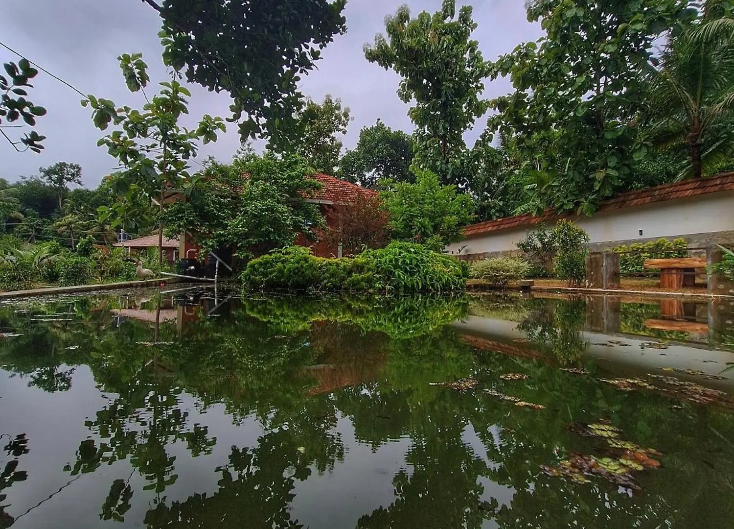טריואנדרום Nellu Tranquil Pool Villa & Organic Farmstay Near Varkala