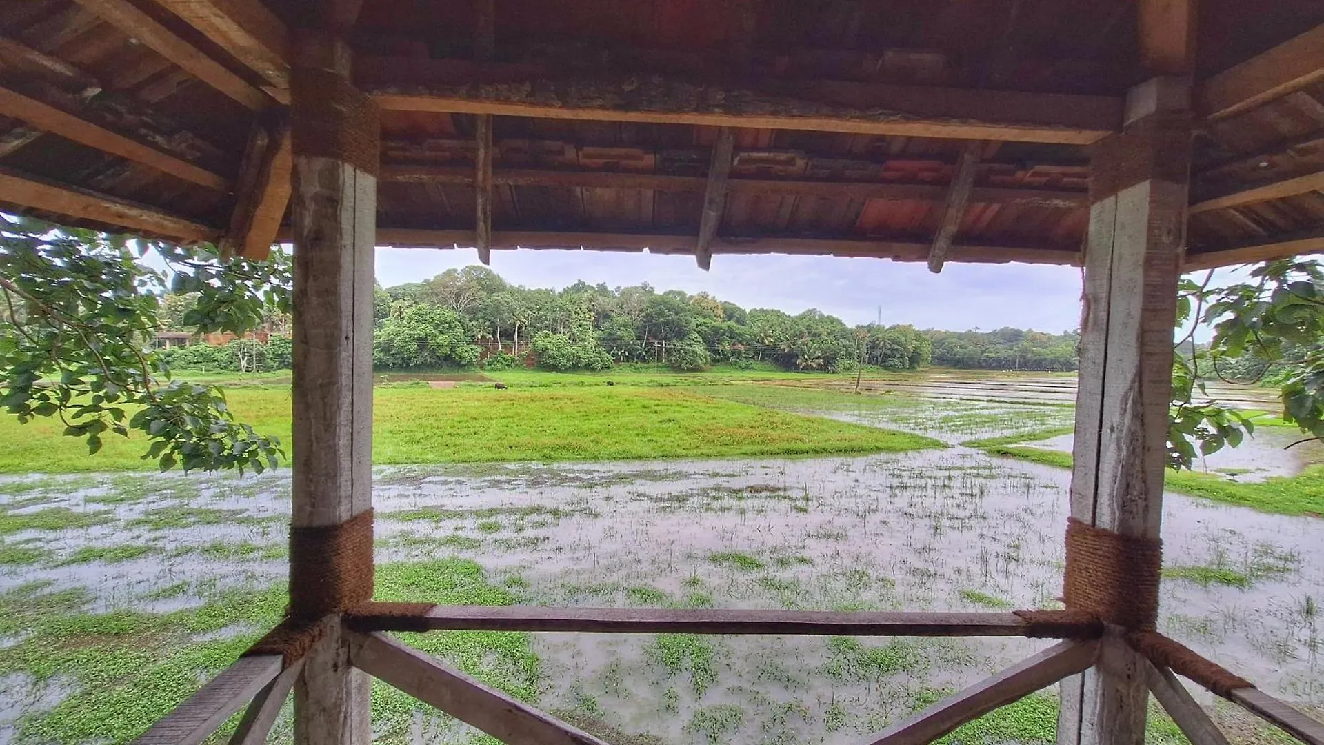Nellu Tranquil Pool Villa & Organic Farmstay Near Varkala Thiruvananthapuram 0*,