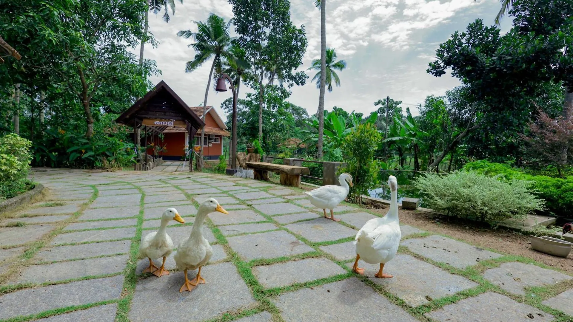 Nellu Tranquil Pool Villa & Organic Farmstay Near Varkala Thiruvananthapuram