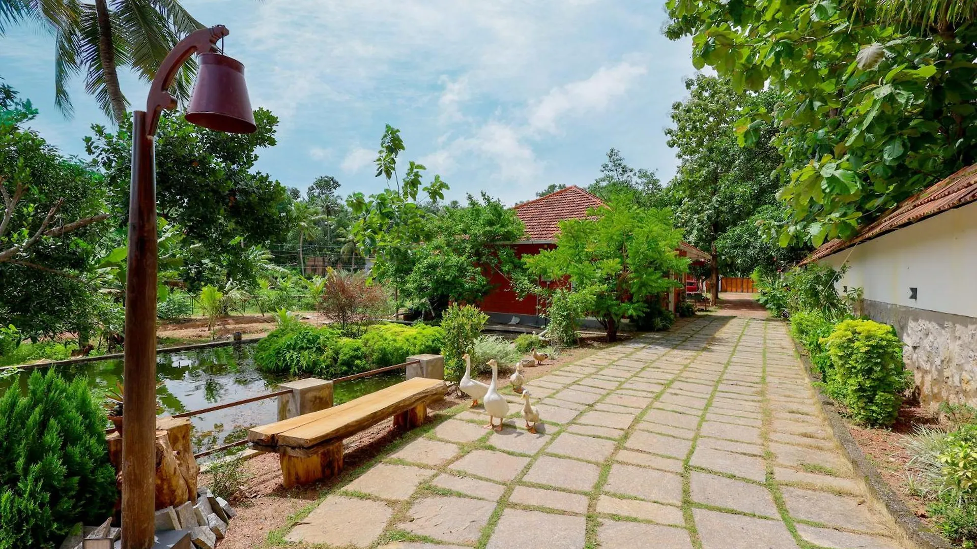 Nellu Tranquil Pool Villa & Organic Farmstay Near Varkala Thiruvananthapuram