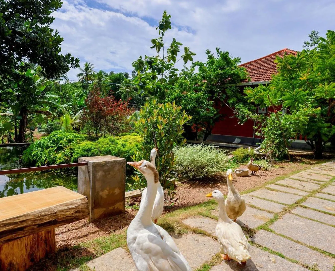 Nellu Tranquil Pool Villa & Organic Farmstay Near Varkala Thiruvananthapuram Indie