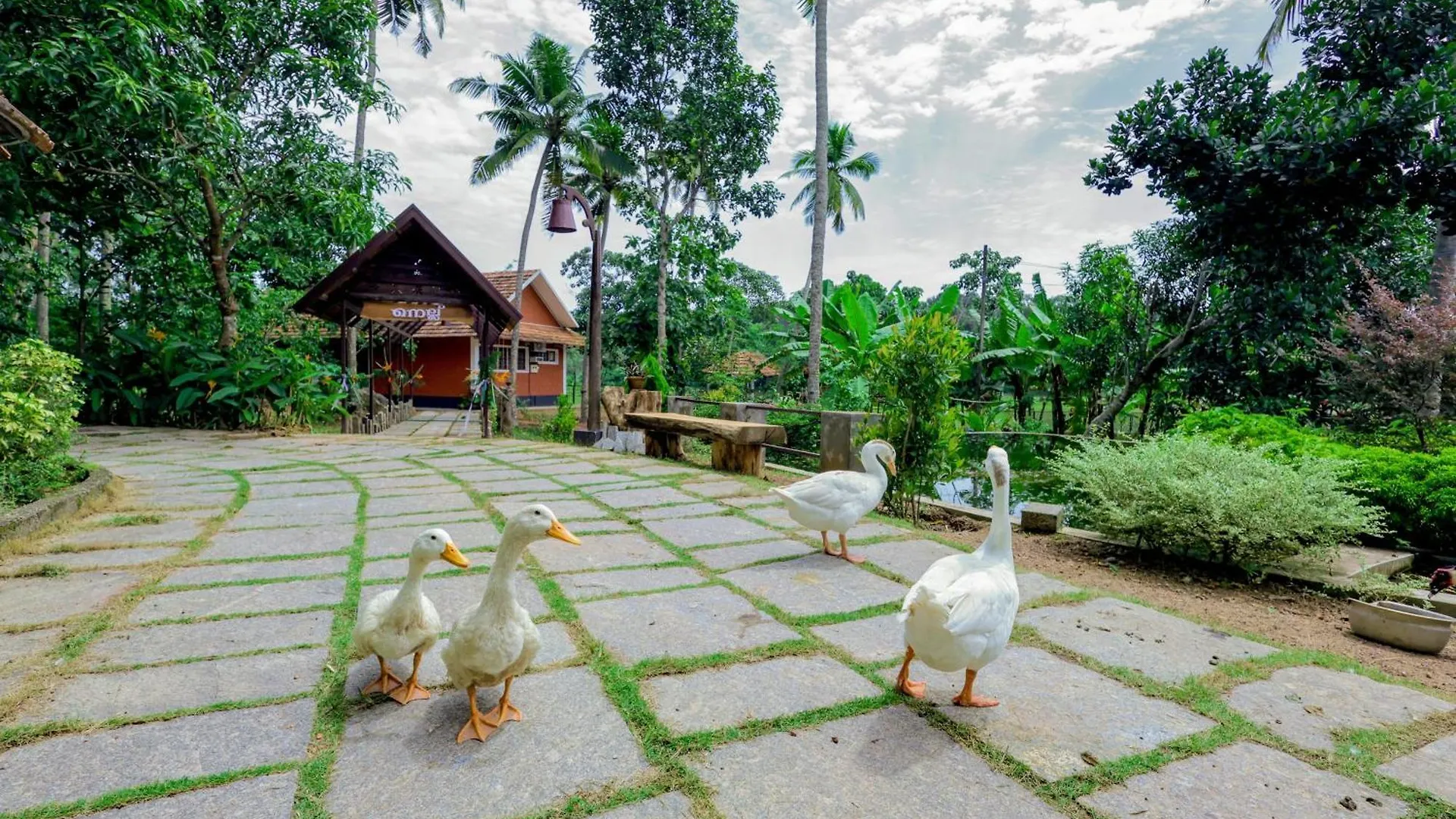 Nellu Tranquil Pool Villa & Organic Farmstay Near Varkala Thiruvananthapuram