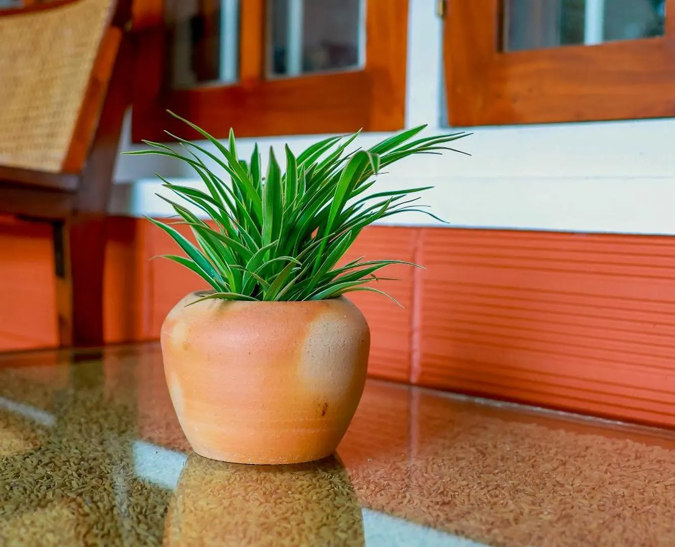 Nellu Tranquil Pool Villa & Organic Farmstay Near Varkala Thiruvananthapuram Indie