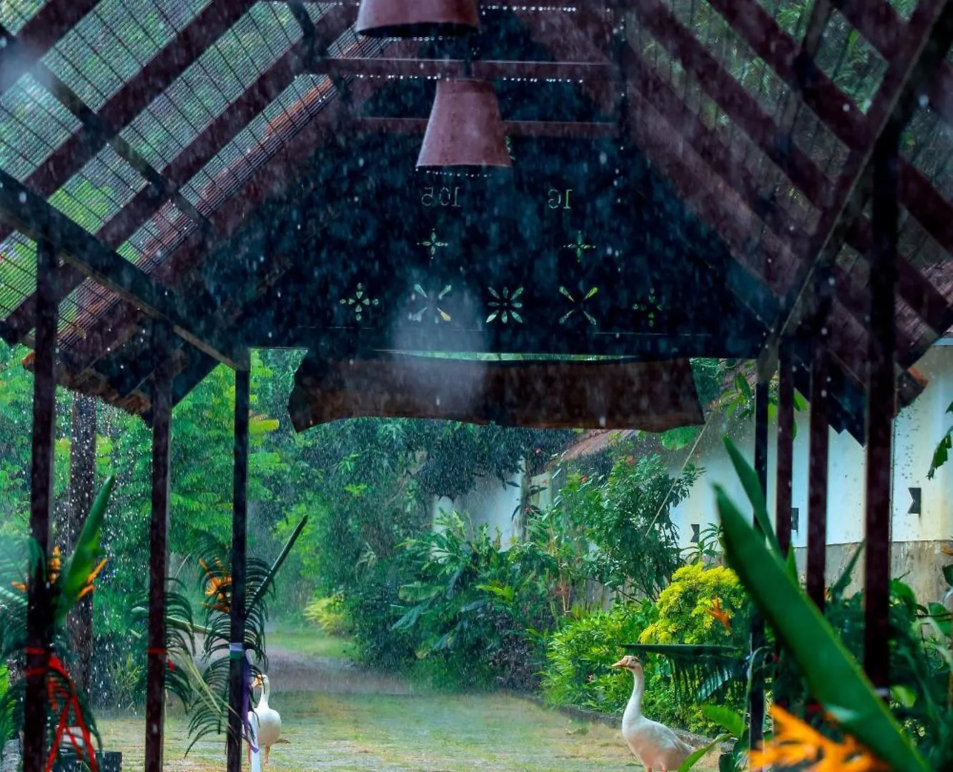 Nellu Tranquil Pool Villa & Organic Farmstay Near Varkala Thiruvananthapuram